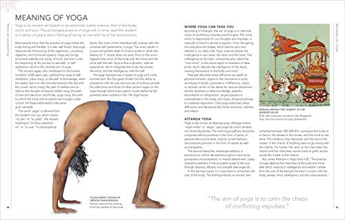 B.K.S. Iyengar Yoga The Path to Holistic Health: The Definitive Stepbystep Guide,Used