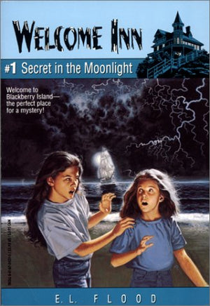 Secret in the Moonlight (Welcome Inn, #1),Used