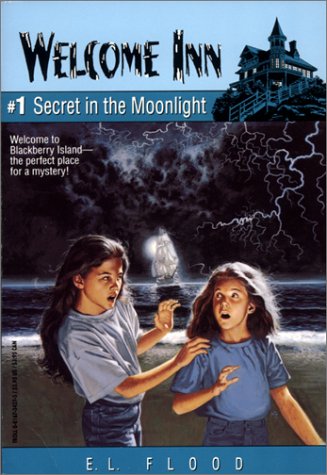 Secret in the Moonlight (Welcome Inn, #1),Used
