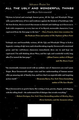All The Ugly And Wonderful Things: A Novel