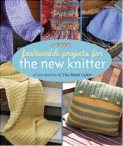 Fashionable Projects for the New Knitter,Used
