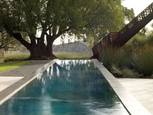 Andrea Cochran: Landscapes,New