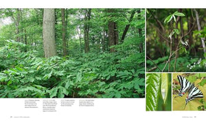 The Living Landscape: Designing for Beauty and Biodiversity in the Home Garden,Used