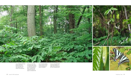 The Living Landscape: Designing for Beauty and Biodiversity in the Home Garden,Used