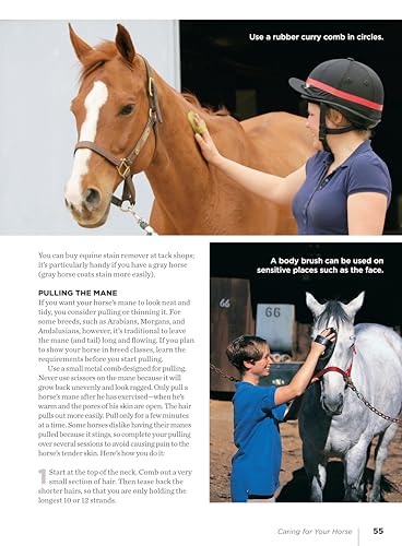 Caring for Your Horse (CompanionHouse Books) (Horse Illustrated Guide),Used