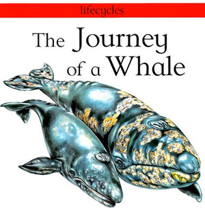 The Journey of a Whale (Lifecycles),Used