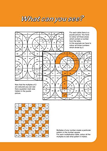 The Multiplication Tables Colouring Book: Solve the Puzzle Pictures While Learning Your Tables (Back to Fundamentals),Used