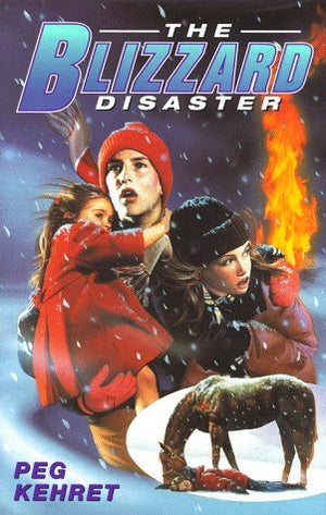 The BLIZZARD DISASTER,Used