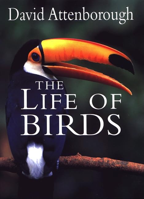 The Life Of Birds