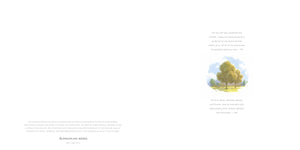 Boy Who Spoke To The Earth,Used