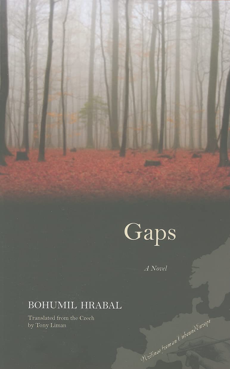 Gaps: A Novel (Writings From An Unbound Europe),New