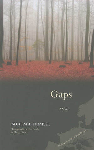 Gaps: A Novel (Writings From An Unbound Europe),Used