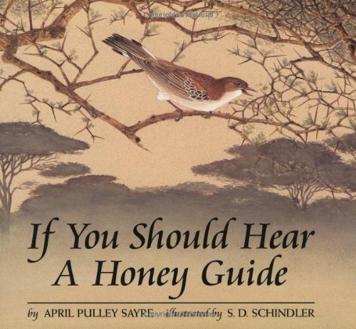 If You Should Hear a Honey Guide,Used