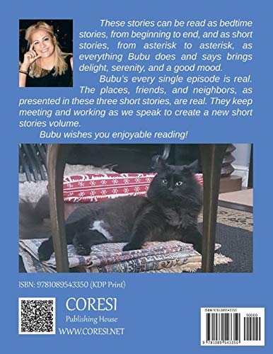 Bubu: A Fairytale Tomcat,Used