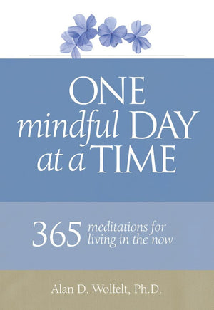 One Mindful Day At A Time: 365 Meditations For Living In The Now