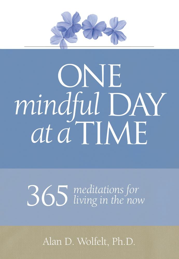 One Mindful Day At A Time: 365 Meditations For Living In The Now