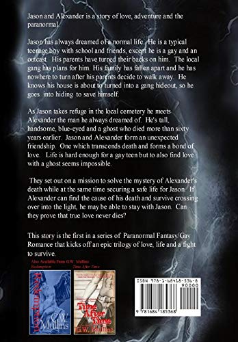 Jason and Alexander A Gay Paranormal Love Story (True Love Never Dies),Used