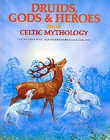Druids, Gods & Heroes From Celtic Mythology (World Mythology Series),New