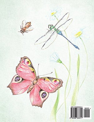 On the Wings of a Pig,Used