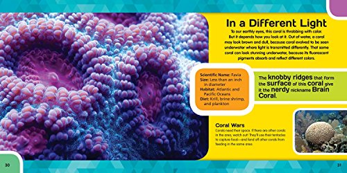 Coral: A Closeup Photographic Look Inside Your World (Up Close),Used
