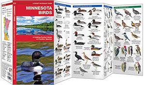 Minnesota Birds: A Folding Pocket Guide to Familiar Species (Wildlife and Nature Identification),Used