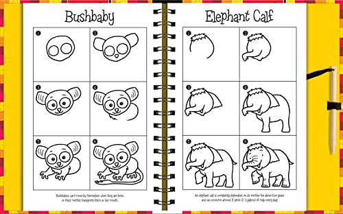 Scratch & Draw Animals  Scratch Art Activity Book (Scratch and Draw),Used