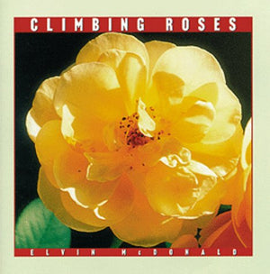 Climbing Roses (Rose Garden Series)