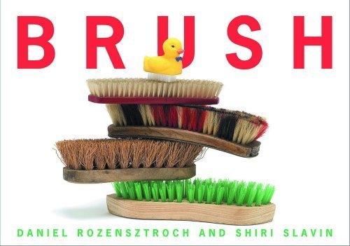Brush,Used