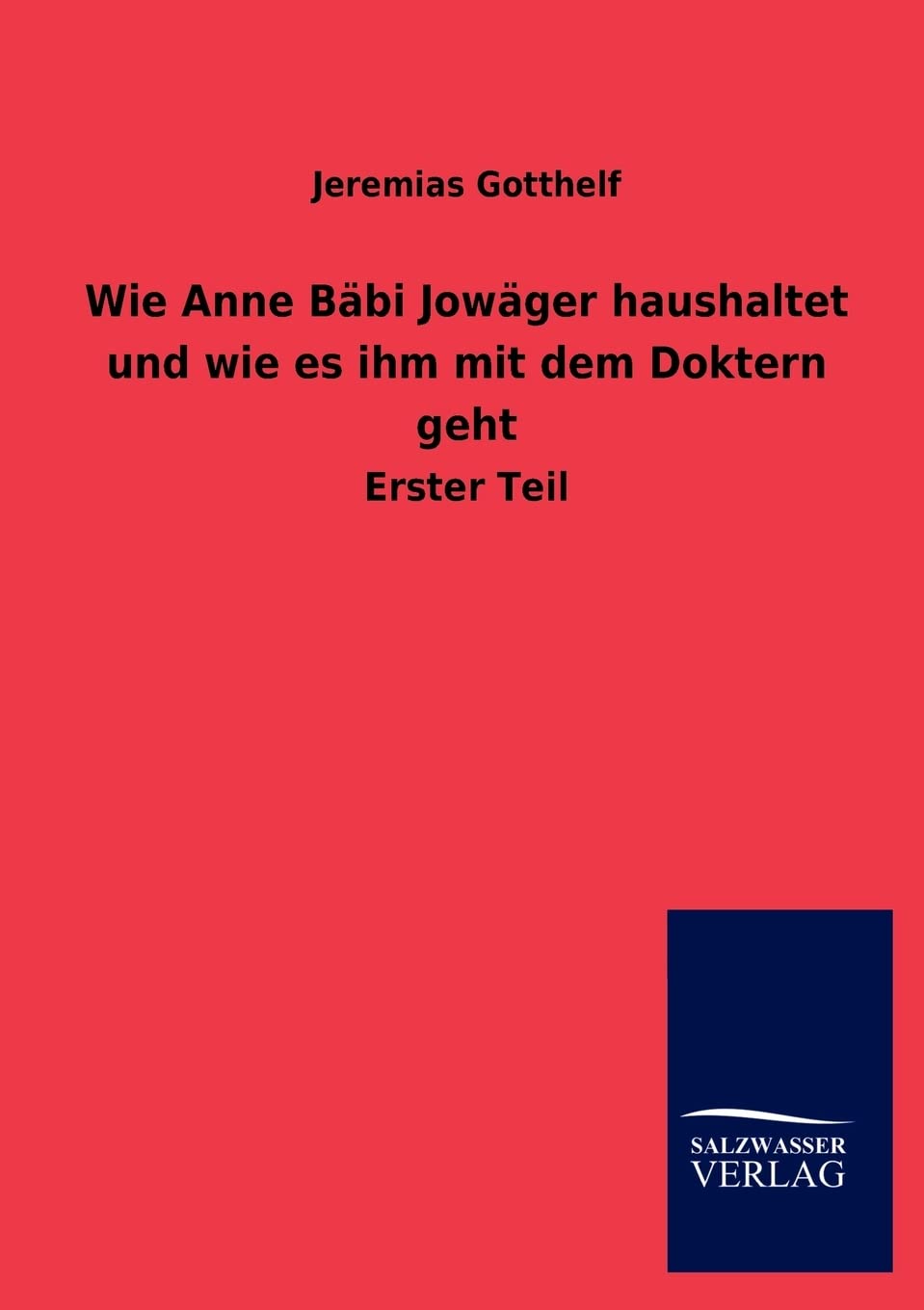 Wie Anne B Bi Jow Ger Haushaltet Und Wie Es Ihm Mit Dem Doktern Geht (German Edition),Used