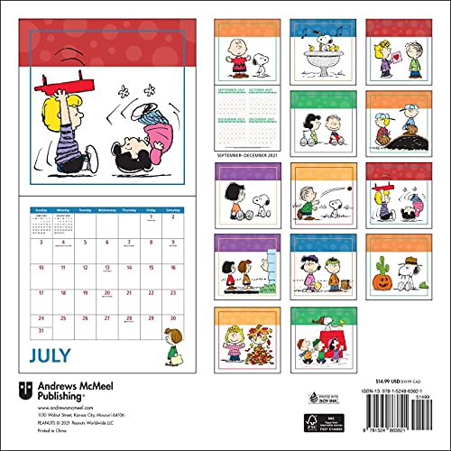 Peanuts 2022 Wall Calendar,Used