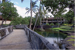 Designing Paradise: The Allure Of The Hawaiian Resort,Used