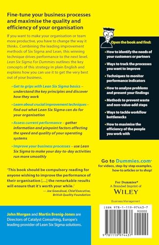 Lean Six Sigma For Dummies,Used