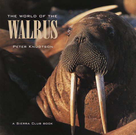 The World Of The Walrus