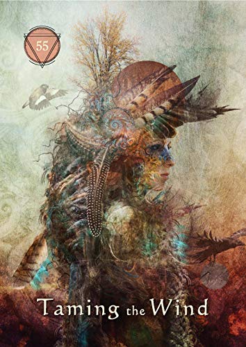 Mystical Shaman Oracle,New