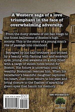 Valiant Journey,Used
