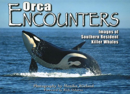 Orca Encounters,Used