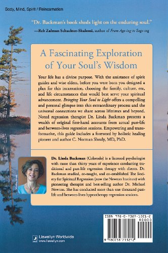 Bringing Your Soul To Light: Healing Through Past Lives And The Time Between,Used