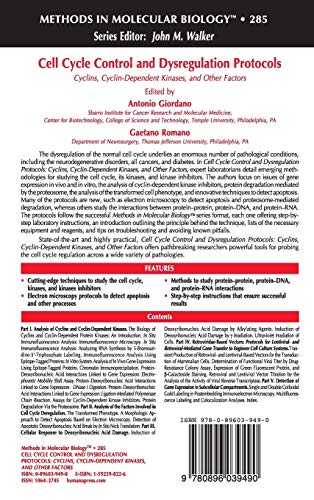 Cell Cycle Control and Dysregulation Protocols (Methods in Molecular Biology, 285),Used