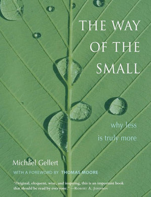 The Way Of The Small: Why Less Is More