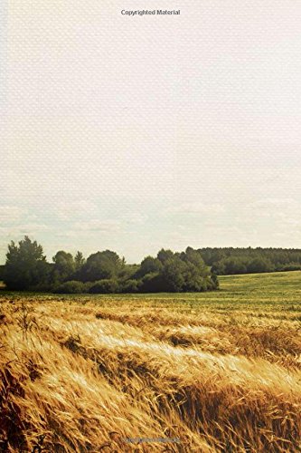 The Farmer's Daughter Romance Collection: Marty's Ride  A Time to Keep  Beyond Today  Myles from Anywhere  Letters from the ,Used