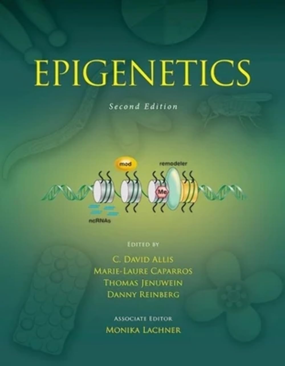 Epigenetics, Second Edition,Used