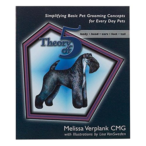 Theory of Five Book by Melissa Verplank,Used