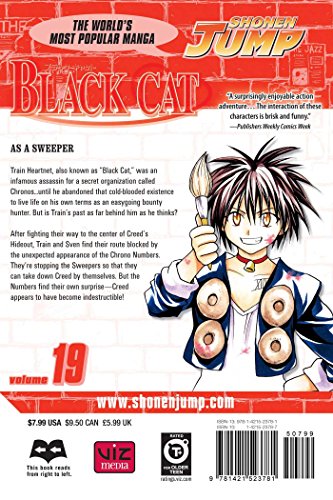 Black Cat, Vol. 19