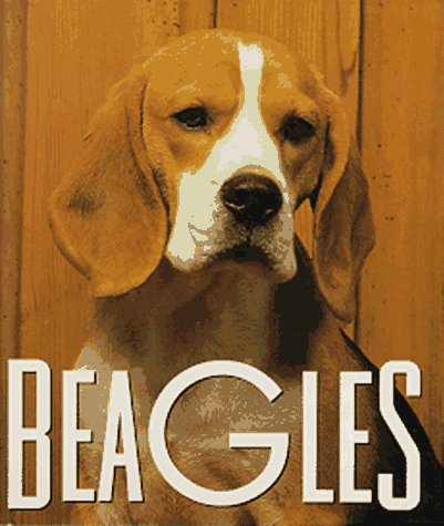 Beagles,Used