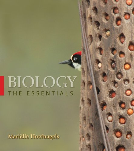 Biology: The Essentials with Connect Plus Access Card,Used