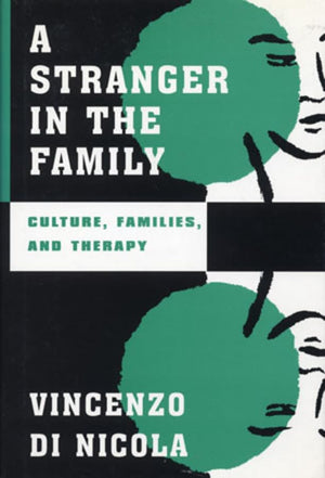 A Stranger in the Family: Culture, Families, and Therapy (Norton Professional Books (Hardcover)),Used