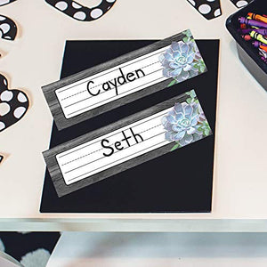 Schoolgirl Style Simply Stylish Succulent Nameplates, 9.5' x 2.875', Pack of 36,Used