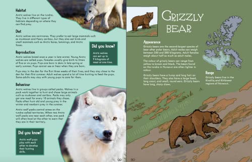 Junior Field Guide: Land Mammals: English Edition (Junior Field Guides),Used