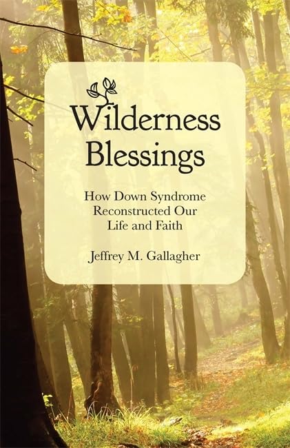 Wilderness Blessings: How Down Syndrome Reconstructed Our Life and Faith,Used
