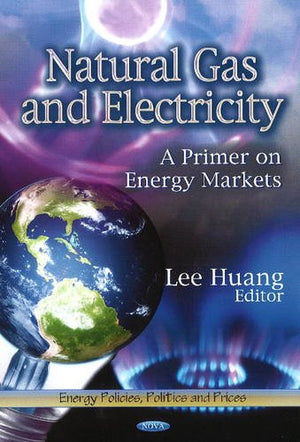 Natural Gas And Electricity: A Primer On Energy Markets (Energy Policies, Politics And Prices: Energy Science, Engineering And T,Used